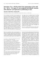 Báo cáo khoa học: Interaction of an  40 kDa protein from regenerating rat liver with the )148 to )124 region of c-jun complexed with RLjunRP coincides with enhanced c-jun expression in proliferating rat liver pdf