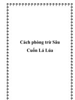 Cách phòng trừ Sâu Cuốn Lá Lúa ppt