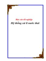 báo cáo tốt nghiệp hệ thống xử lí nước thải