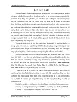 thực trạng hoạt động bảo lãnh tại chi nhánh ngân hàng đầu tư và phát triển hải vân qua 3 năm 2008-2010