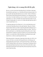 Ngân hàng: rủi ro mang tiền đổi lấy giấy pptx