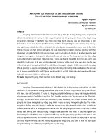 ẢNH HƯỞNG CỦA PHÂN BÓN VÀ ÁNH SÁNG ĐẾN SINH TRƯỞNG CỦA CÂY RE GỪNG TRONG GIAI ĐOẠN VƯỜN ƯƠM ppt