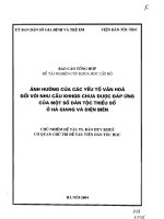 Ảnh hưởng của các yếu tố văn hóa đối với nhu cầu KHHGĐ chưa được áp dụng của một số dân tộc thiểu số ở Hà Giang và Điện Biên doc