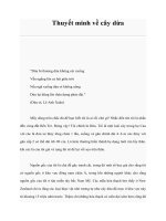 Thuyết minh về cây dừa doc