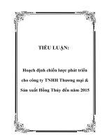 TIỂU LUẬN: Hoạch định chiến lược phát triển cho công ty TNHH Thương mại & Sản xuất Hồng Thủy đến năm 2015 pot
