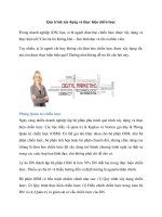 Quy trình xây dựng và thực hiện chiến lược pdf