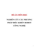 Đề tài “Nghiên cứu các phương pháp điều khiển Robot công nghiệp” pot