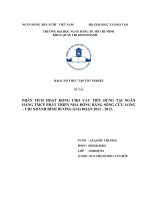 PHÂN TÍCH HOẠT ĐỘNG CHO VAY TIÊU DÙNG TẠI NGÂN HÀNG TMCP PHÁT TRIỂN NHÀ ĐỒNG BẰNG SÔNG CỬU LONG – CHI NHÁNH BÌNH DƯƠNG GIAI ĐOẠN 2012 – 2013