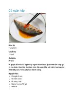 Cá ngân hấp potx