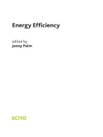 Energy Efficiencyedited by Jenny Palm docx