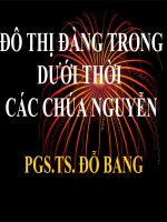 ĐÔ THỊ ĐÀNG TRONG DƯỚI THỜI CÁC CHÚA NGUYỄN pptx