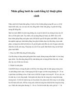 Nhân giống bưởi da xanh bằng kỹ thuật giâm cành pdf