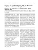 Báo cáo khóa học: Mutational and computational analysis of the role of conserved residues in the active site of a family 18 chitinase docx