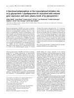 Báo cáo khoa học: A functional polymorphism at the transcriptional initiation site in b2-glycoprotein I (apolipoprotein H) associated with reduced gene expression and lower plasma levels of b2-glycoprotein I docx