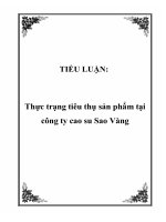 TIỂU LUẬN: Thực trạng tiêu thụ sản phẩm tại công ty cao su Sao Vàng doc