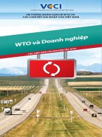 WTO và doanh nghiệp các hiệp định và nguyên tắc potx