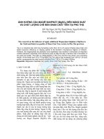 Ảnh hưởng của Magiê Sunphát (MgSO4) đến năng suất và chất lượng chè đen Shan Chất Tiền tại Phú Thọ pptx