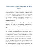 Effective Measure - Công cụ đo lượng truy cập website tại VN potx