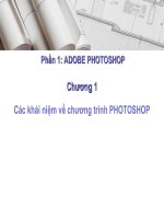 tự học photoshop cho người mới bắt đầu