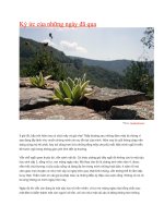 ký ức của những ngày đã qua