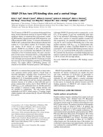 Báo cáo Y học: SMAP-29 has two LPS-binding sites and a central hinge docx