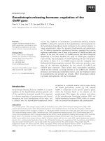 Báo cáo khoa học: Gonadotropin-releasing hormone: regulation of the GnRH gene pot