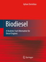 Biodiesel, springer (2008)