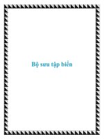 Bộ sưu tập biển ppt