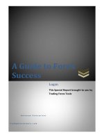 A Guide to Forex Success doc