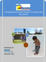 Comprehensive Audit Analysis for Parks and Recreation pot