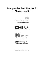 Principles for Best Practice in Clinical Audit pot