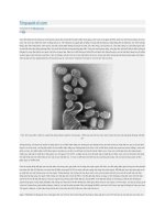 Tổng quát về cúm docx