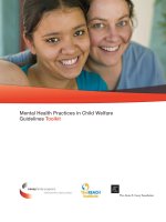 Mental Health Practices in Child Welfare Guidelines Toolkit pptx