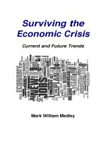 Surviving the Economic Crisis : Current and Future Trends pdf