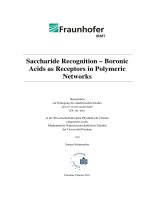 Saccharide Recognition – Boronic Acids as Receptors in Polymeric Networks