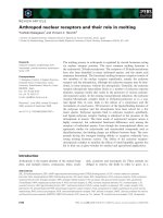 Báo cáo khoa học: Arthropod nuclear receptors and their role in molting pptx