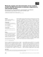 Báo cáo khoa học: Molecular cloning and characterization of two soybean protein disulﬁde isomerases as molecular chaperones for seed storage proteins doc