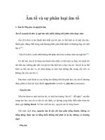 Âm tố và sự phân loại âm tố potx