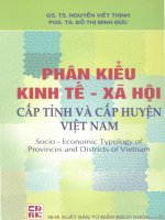 Phân kiểu kinh tế- xã hội các tỉnh và cấp huyện Việt Nam potx
