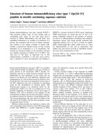 Báo cáo Y học: Structure of human immunodeﬁciency virus type 1 Vpr(34–51) peptide in micelle containing aqueous solution pptx