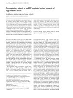 Báo cáo Y học: The regulatory subunit of a cGMP-regulated protein kinase A of Trypanosoma brucei docx