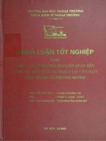 chính sách thương mại liên quan đế lĩnh vực đầu tư nước ngoài tại việt nam thực trạng và phương hướng