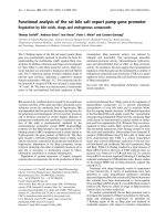 Báo cáo Y học: Functional analysis of the rat bile salt export pump gene promoter Regulation by bile acids, drugs and endogenous compounds potx