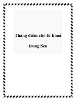 Thang điểm cho từ khoá trong Seo potx