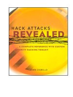 Hack attacks revealed