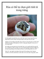 Rùa có thể tự chọn giới tính từ trong trứng ppt