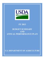 FY 2013 BUDGET SUMMARY AND ANNUAL PERFORMANCE PLAN pdf
