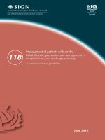 Management of patients with stroke: Rehabilitation, prevention and management of complications, and discharge planning pot
