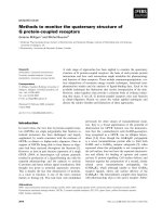 Báo cáo khoa học: Methods to monitor the quaternary structure of G protein-coupled receptors doc