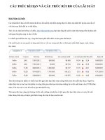 cấu trúc  rủi ro và cấu trúc kì hạn của lãi suất